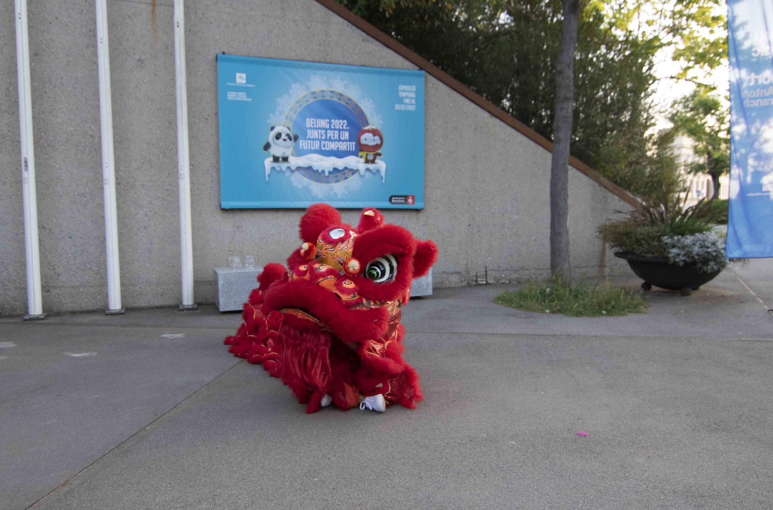 Nit Museus Danza Leon MuseuOlimpicBCN 17